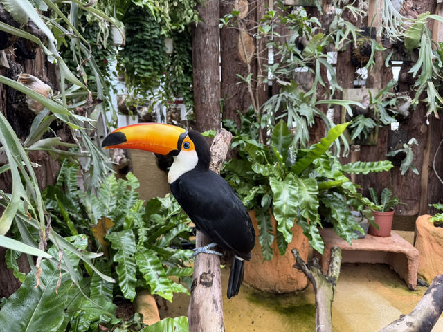 Attractions to visit in Lanyang Animal and Plant Kingdom