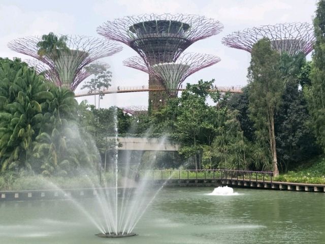 #濱海灣花園Gardens By The Bay-新加坡