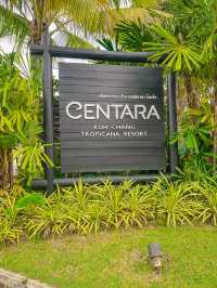 ” Centara Koh Chang Tropicana Resort “🏝️🐘