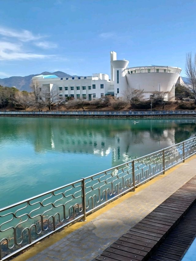 도심 한가운데 고요한 쉼이 흐르는 곳🌿