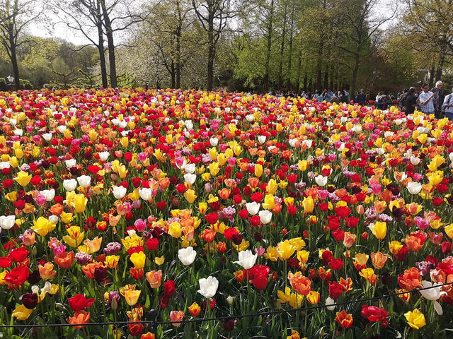 Garden of Europe