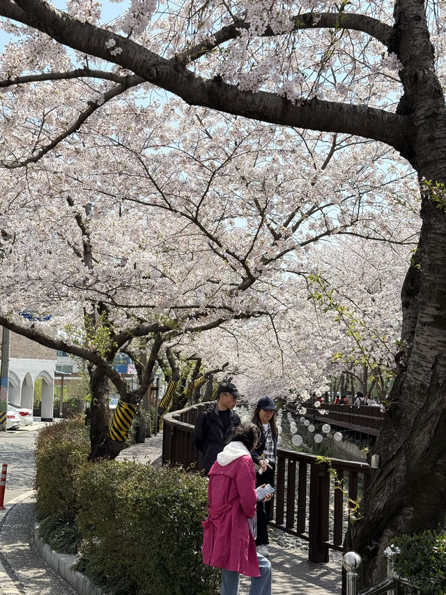 진해 가족 여행 떠나보아요 