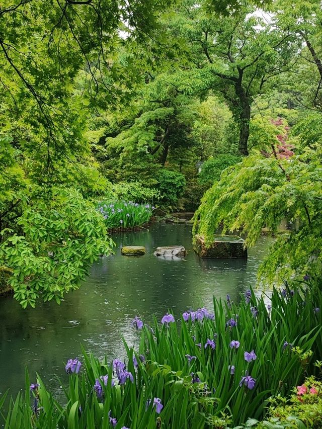 Nezu Museum: Where Art and Nature Flow Seamlessly