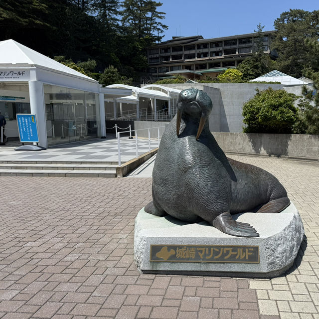 海と水槽が一体化？！温泉地から近い、城崎マリンワールド