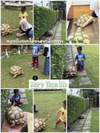 มี More Than Me 