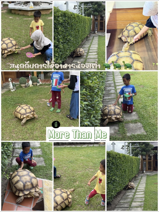 มี More Than Me 