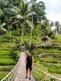 Exploring Ubud A Serene Escape into Bali