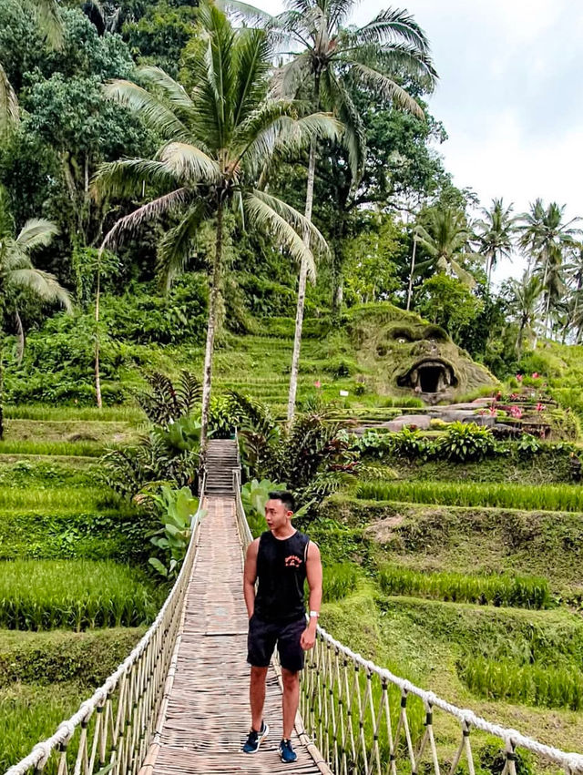 Exploring Ubud A Serene Escape into Bali