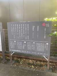 【東京都神楽坂🇯🇵赤城神社】有名な建築家がデザイン☺️おしゃれな雰囲気のパワースポット