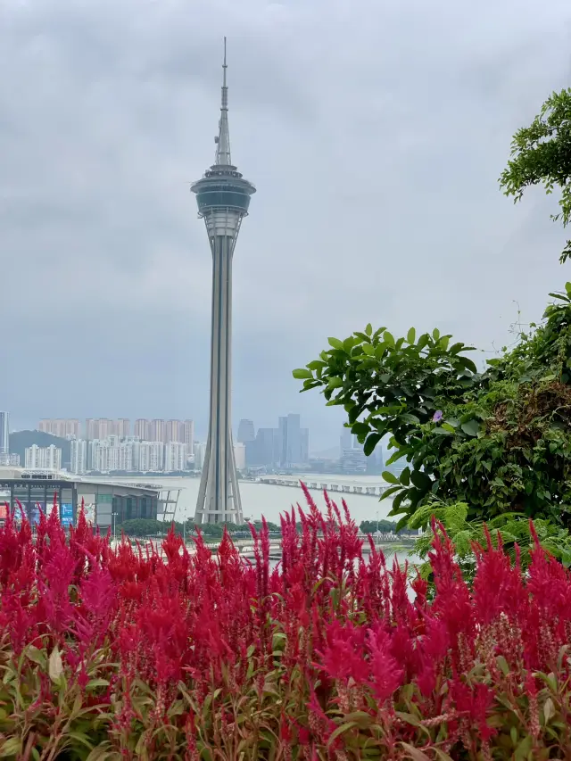 Hidden gem for panoramic views of Macau