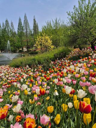 🌸가족 당일치기 여행으로 추천하는🌼피나클랜드 수목원🍃