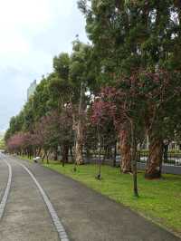 Red Bridge, Calm Lake – Taipei’s Hidden Beauty