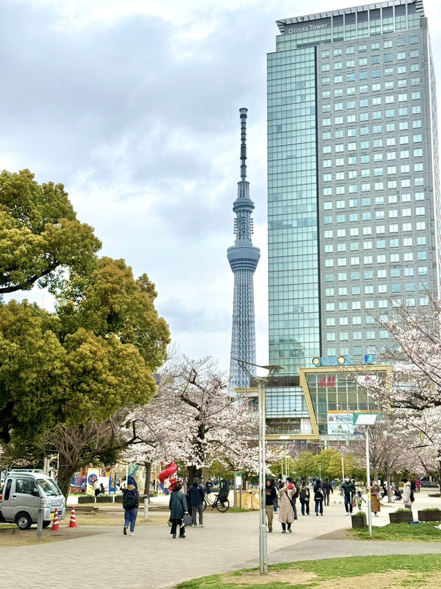 A Local-Style Day in Kinshicho, Tokyo🍶