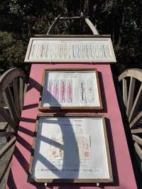 【東京】ここ行ったらやるべき3つのこと🌸桜の神結びで運気アップ