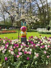 A Blooming Wonderland at Keukenhof Gardens 🌷
