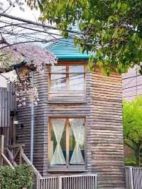 Discover the Pulse of Japan