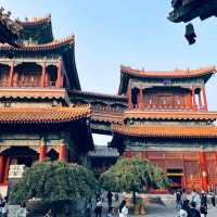 The Lama Temple: Beijing’s Towering Tribute to Tibetan Buddhism