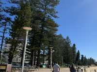Manly Beach a worth to visit 