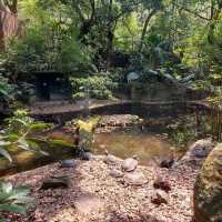 嘉道理農場暨植物園（Kadoorie Farm and Botanic Garden）