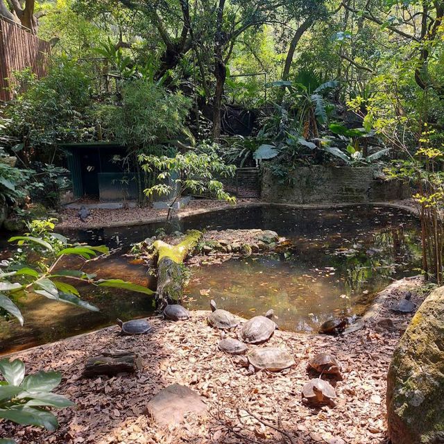 嘉道理農場暨植物園（Kadoorie Farm and Botanic Garden）