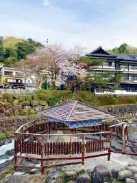 A Local Stroll Through Shuzenji – Temples, Blossoms & Comfort Food