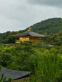 Kinkaku-ji: The Golden Pavilion of Kyoto