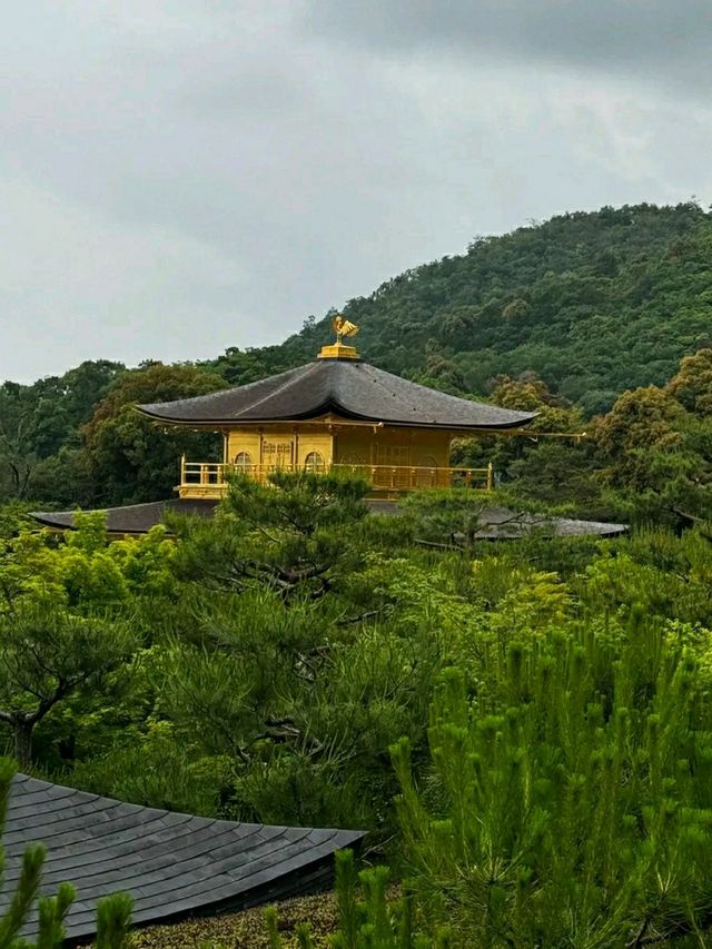 Kinkaku-ji: The Golden Pavilion of Kyoto
