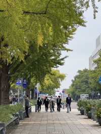 日本大通り（Nihonodori）：横浜の歴史と美しさが交差するクラシックストリート