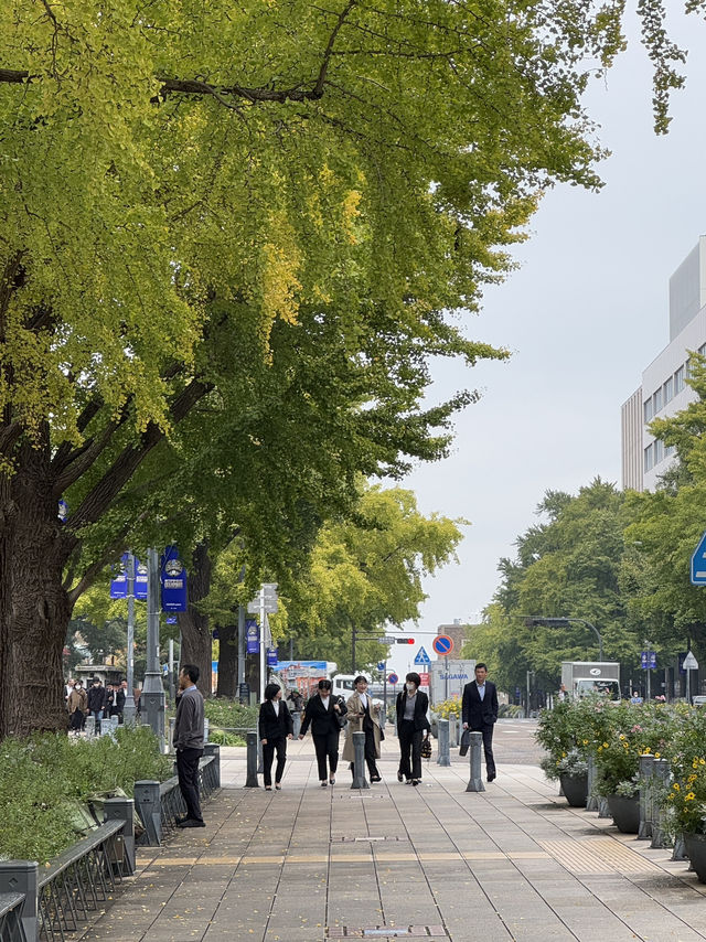 日本大通り（Nihonodori）：横浜の歴史と美しさが交差するクラシックストリート
