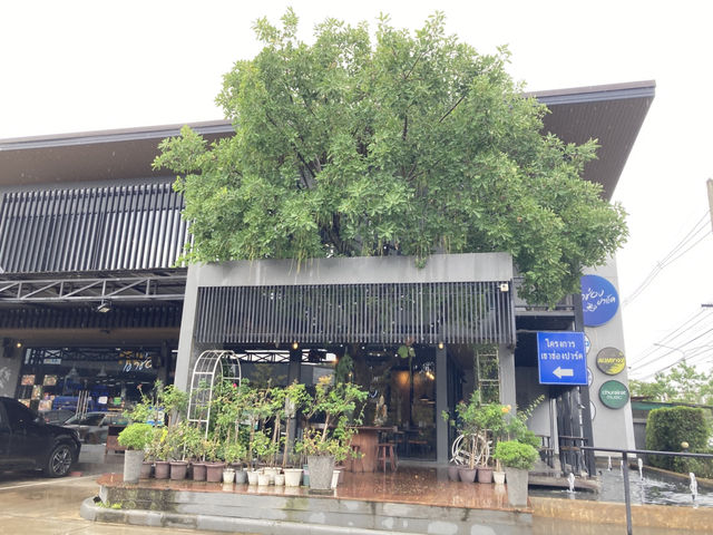 วันฝนตกกับโกโก้ร้อน ๆ ที่ “เขาช่องปาร์ค” 