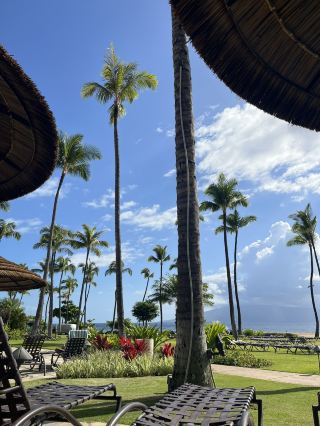 Nature Friendly Maui Resort with Amazing Ocean View!