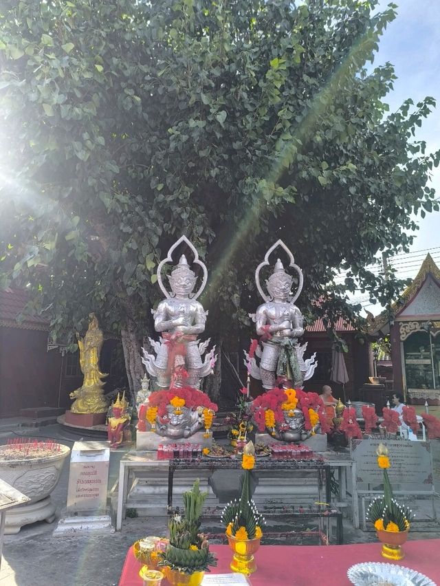 Chiang Mai ✈️
