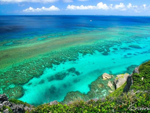 【沖縄宮古島】まるでグレートバリアリーフ！「フナウサギバナタ」