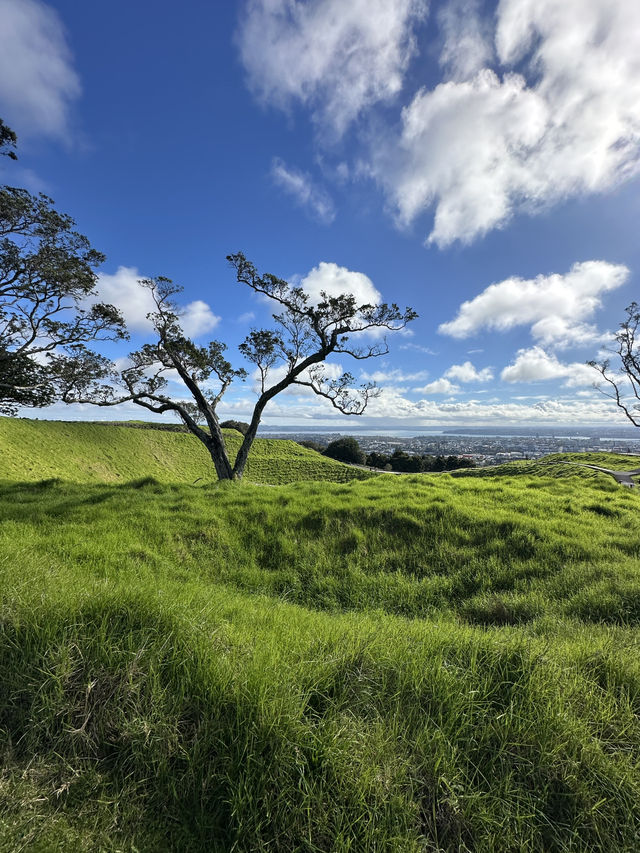 紐西蘭 ｜登奧克蘭伊甸山 Mount Eden Summit