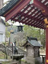 스타벅스가 유명한 다자이후 텐만구⛩️