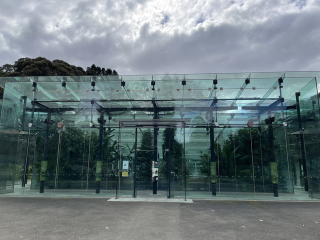 Beautiful Adelaide botanical garden