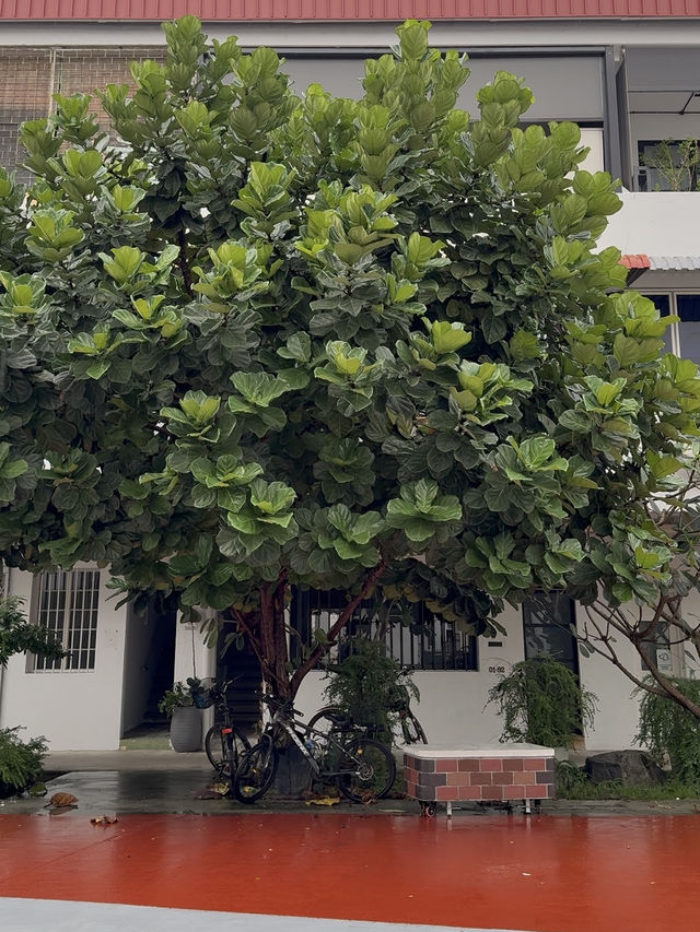 Walkable Foodie Haven: Cafe Hopping in Tiong Bahru