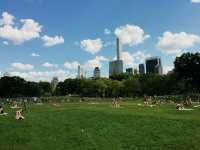 Central Park: NYC’s Urban Oasis
