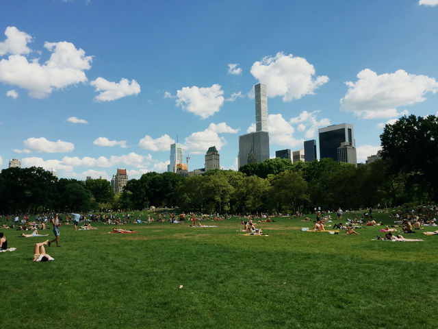 Central Park: NYC’s Urban Oasis