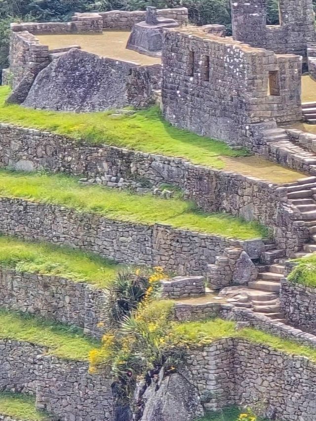 Machu Picchu: The Lost City That Finds You