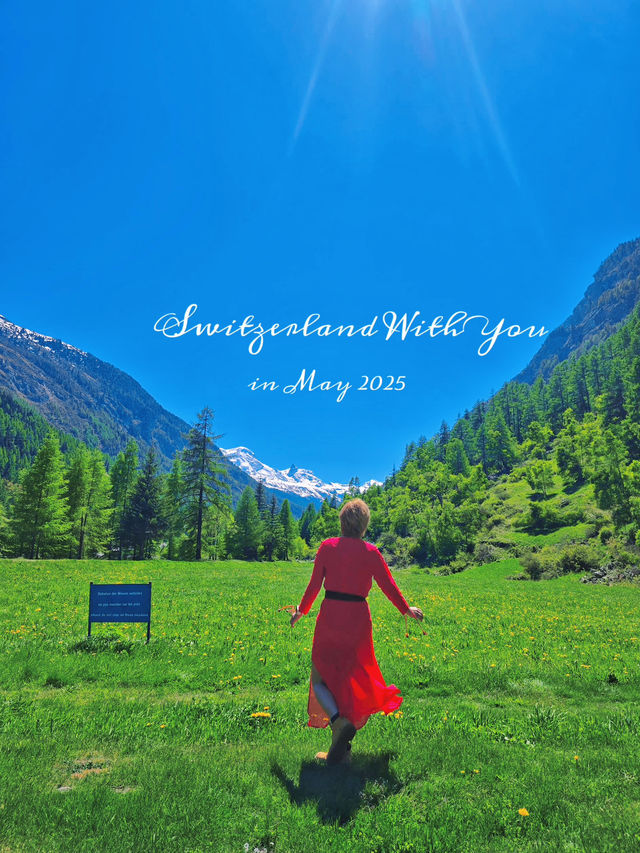 Switzerland With You 🇨🇭