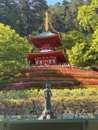 大阪｜被達摩包圍的勝尾寺 鐮倉幕府起將軍都要來求勝的千年古寺