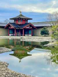 A Relaxing Day in Nara – Where History Meets Art
