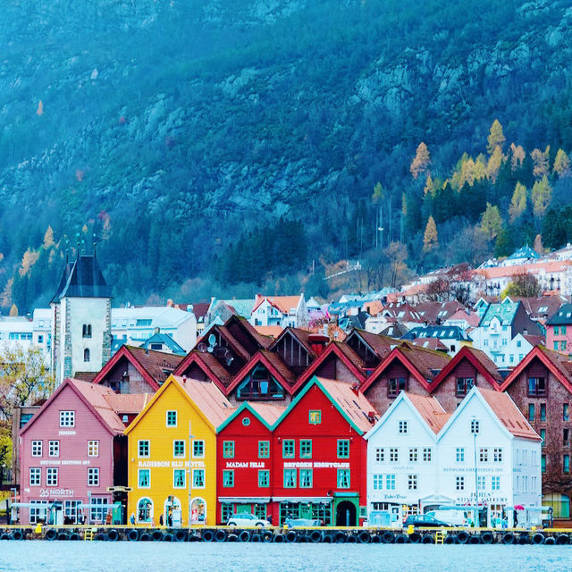 【世界遺産ブリッゲン地区がある街】ベルゲン🇳🇴