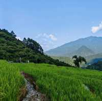 八鄉山 x 端陽山野