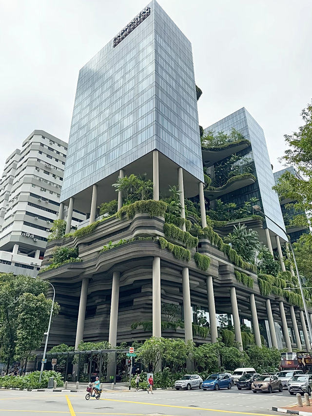สิงคโปร์🇸🇬