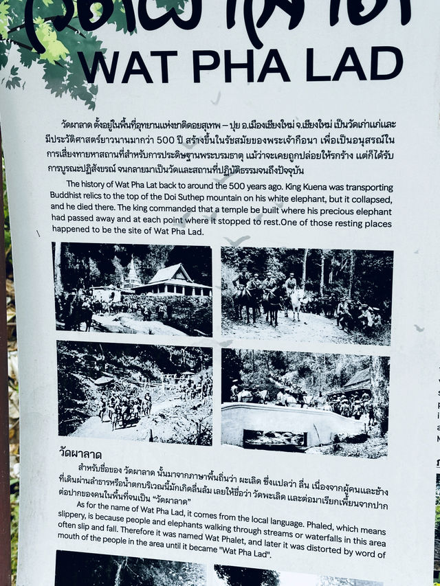 Favorite short hike in chiang mai
