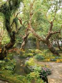 ชมคาเฟ่ เชียงใหม่  (CHOM CAFE AND RESTAURANT)