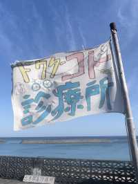 【与那国島】あの人気ドラマのロケ地巡り🚲