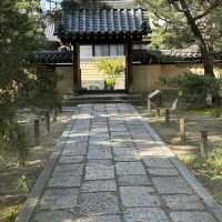 Half Day in Fukuoka: Hakata walk
